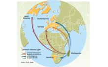 Madagaskar og verden