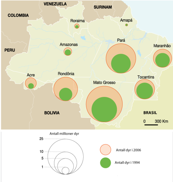Regnskov og kvægdrift i Amazonas