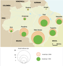Regnskov og kvægdrift i Amazonas