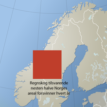 Regnskoven bliver mindre