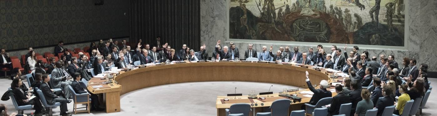 Danmark kandiderer til Sikkerhedsrådet