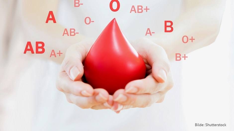 Verdens bloddonerdag